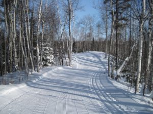 Sentier de ski de fond au club Temiskaming Nordique