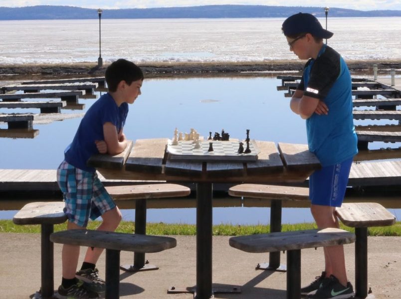 Apprendre l'art des échecs avec une expérience Temiskaming