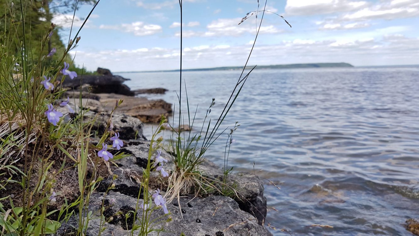 Profitez de la nature en glamping sur l'île Farr