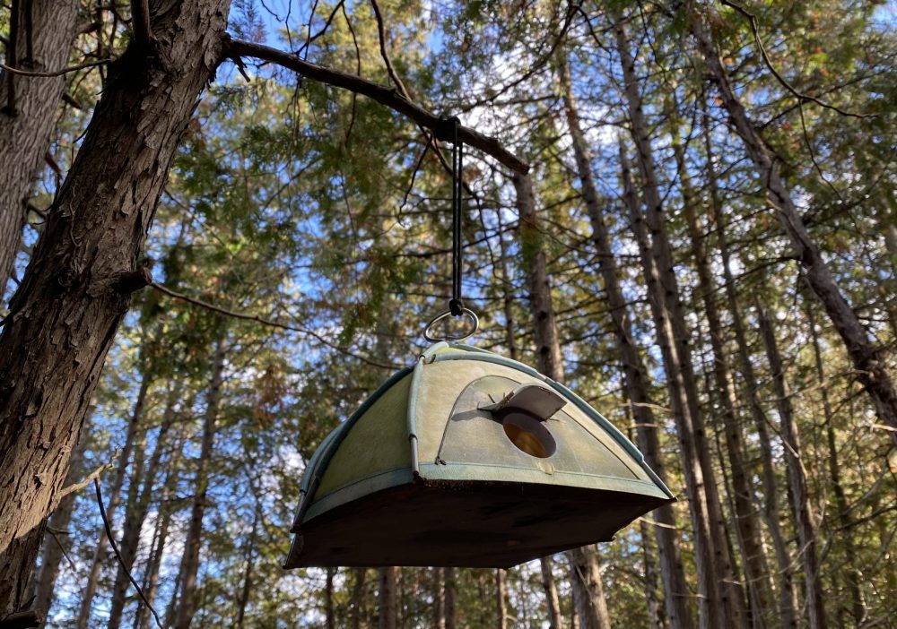 Profiter des oiseaux à l'île Farr